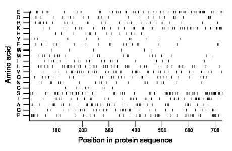 amino acid map