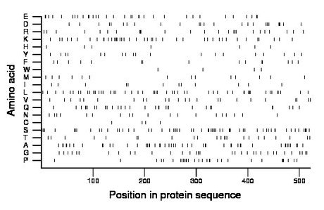 amino acid map