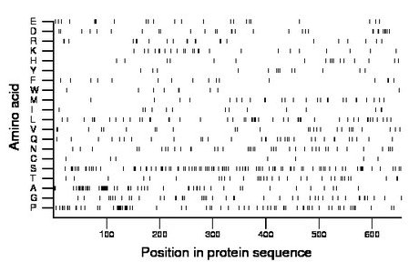 amino acid map