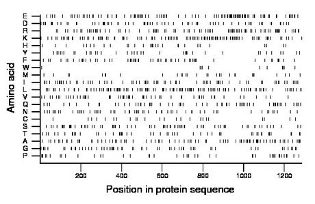 amino acid map