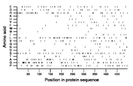 amino acid map