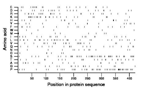 amino acid map