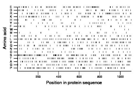 amino acid map