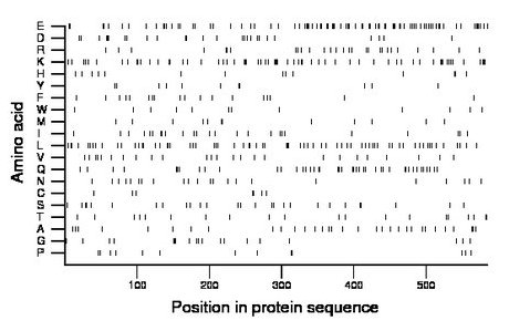 amino acid map