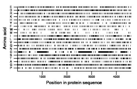 amino acid map