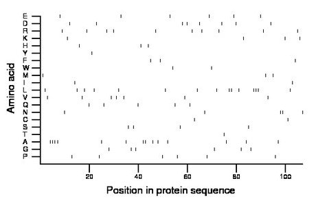 amino acid map