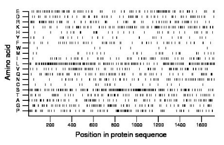 amino acid map