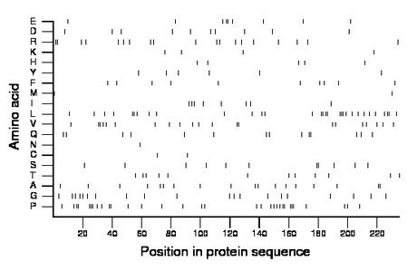 amino acid map