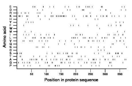 amino acid map