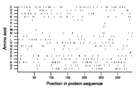 amino acid map