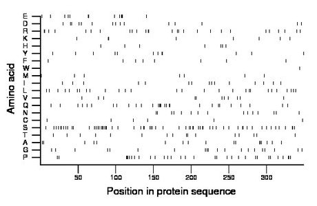 amino acid map