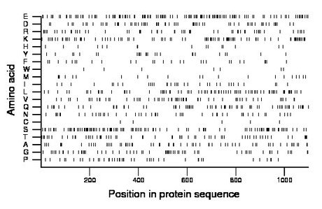 amino acid map