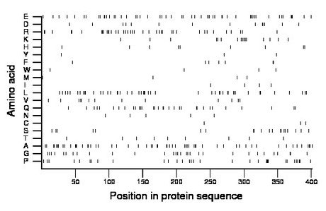 amino acid map