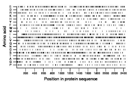 amino acid map