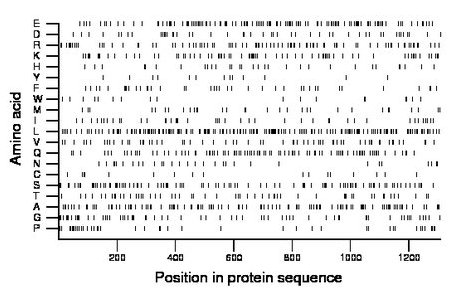 amino acid map