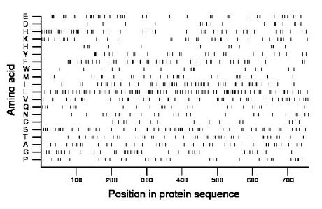 amino acid map