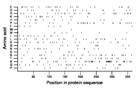 amino acid map