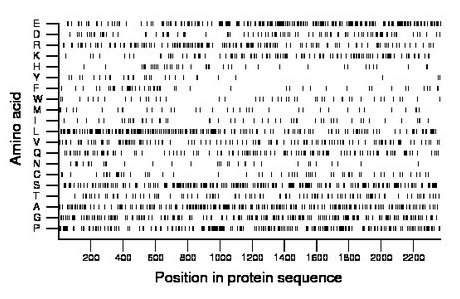 amino acid map