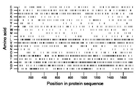 amino acid map