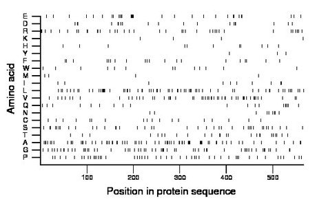 amino acid map