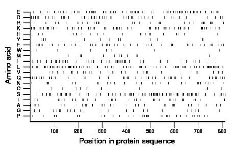 amino acid map