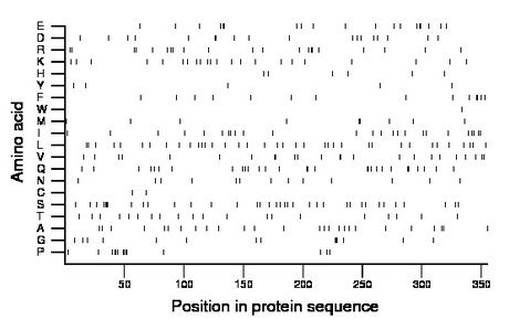 amino acid map