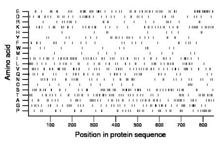 amino acid map