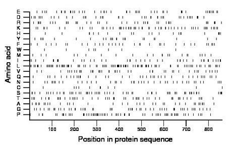 amino acid map