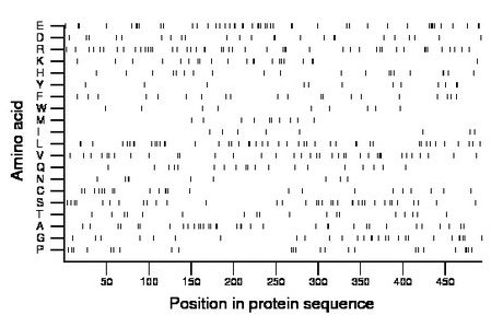 amino acid map