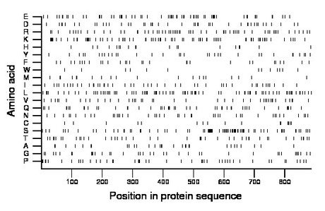 amino acid map