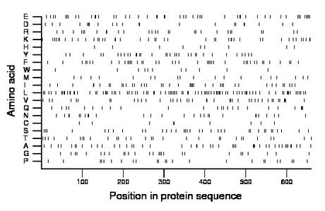 amino acid map