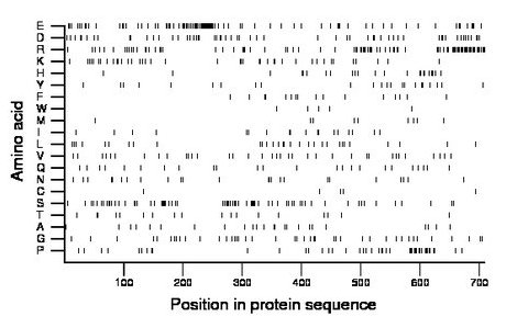 amino acid map