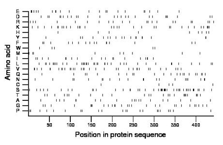 amino acid map