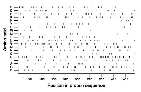 amino acid map