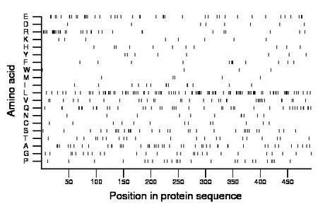 amino acid map