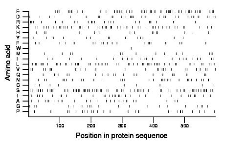 amino acid map