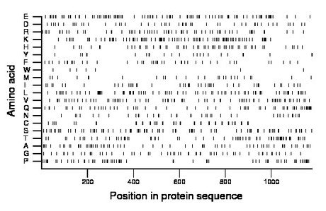 amino acid map