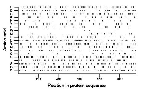 amino acid map