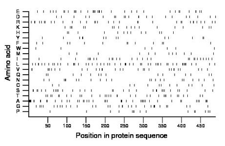 amino acid map