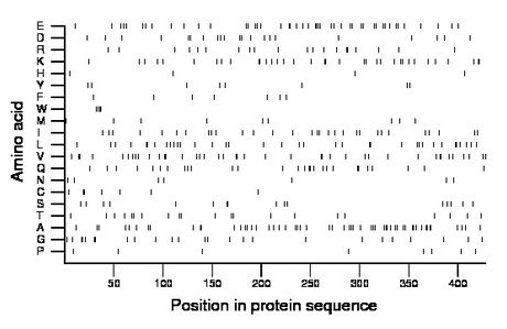 amino acid map