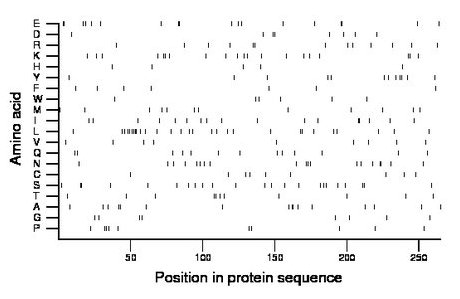 amino acid map