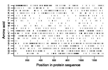 amino acid map