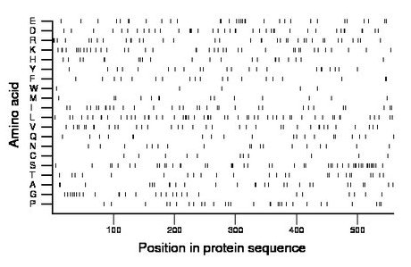 amino acid map