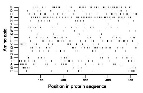 amino acid map