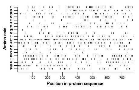 amino acid map