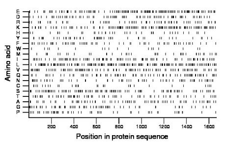 amino acid map