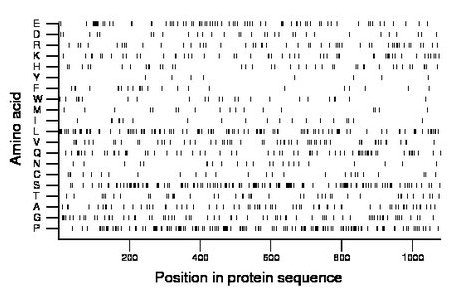 amino acid map