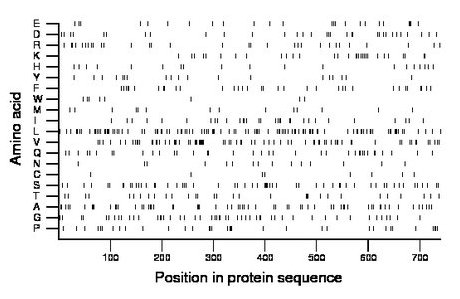 amino acid map