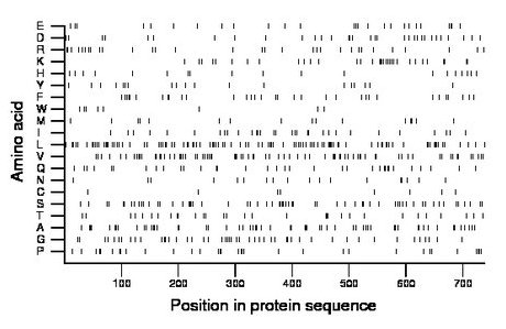 amino acid map