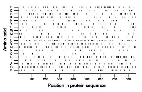 amino acid map